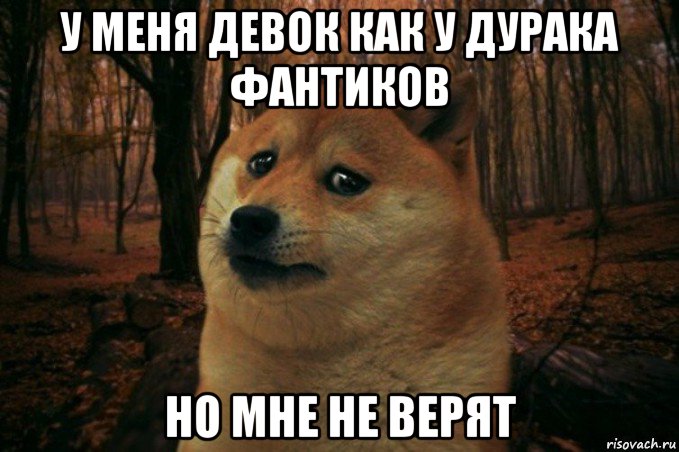 у меня девок как у дурака фантиков но мне не верят, Мем SAD DOGE