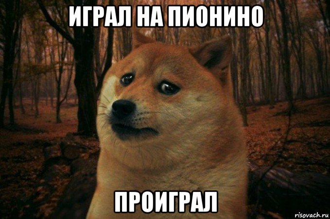 играл на пионино проиграл, Мем SAD DOGE