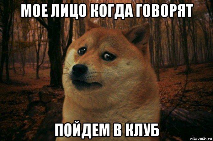 мое лицо когда говорят пойдем в клуб, Мем SAD DOGE