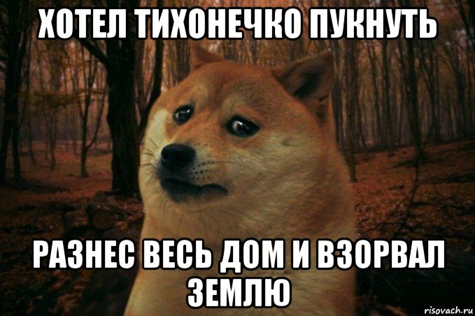 хотел тихонечко пукнуть разнес весь дом и взорвал землю, Мем SAD DOGE