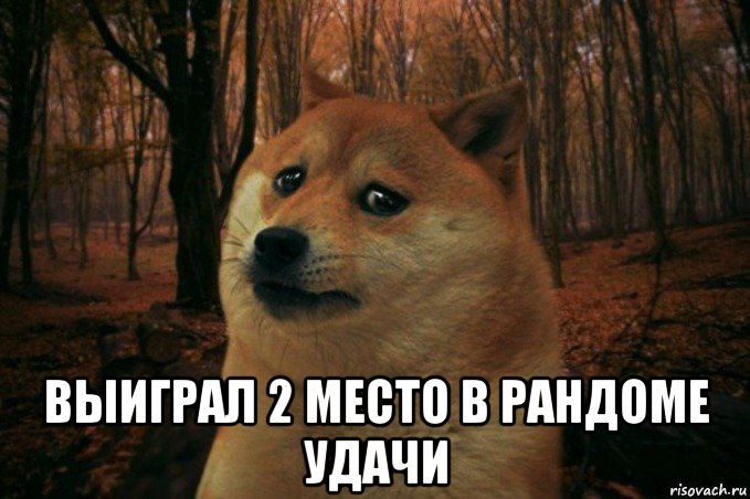  выиграл 2 место в рандоме удачи, Мем SAD DOGE