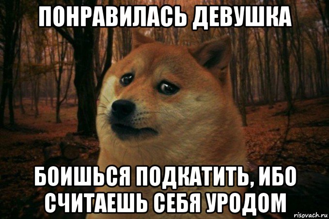 понравилась девушка боишься подкатить, ибо считаешь себя уродом, Мем SAD DOGE