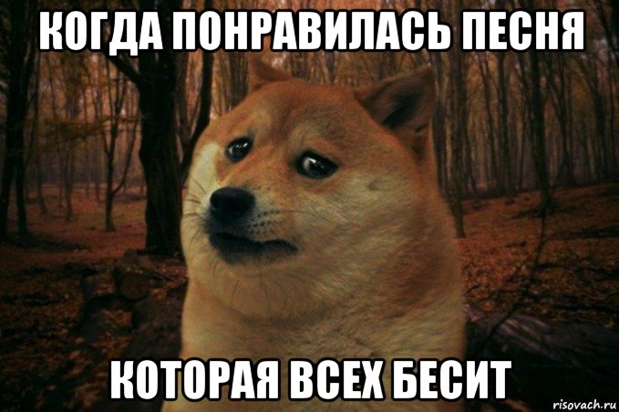 когда понравилась песня которая всех бесит, Мем SAD DOGE