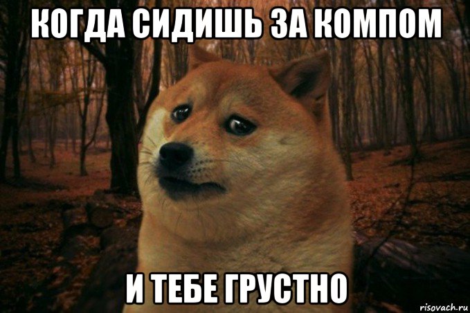 когда сидишь за компом и тебе грустно, Мем SAD DOGE