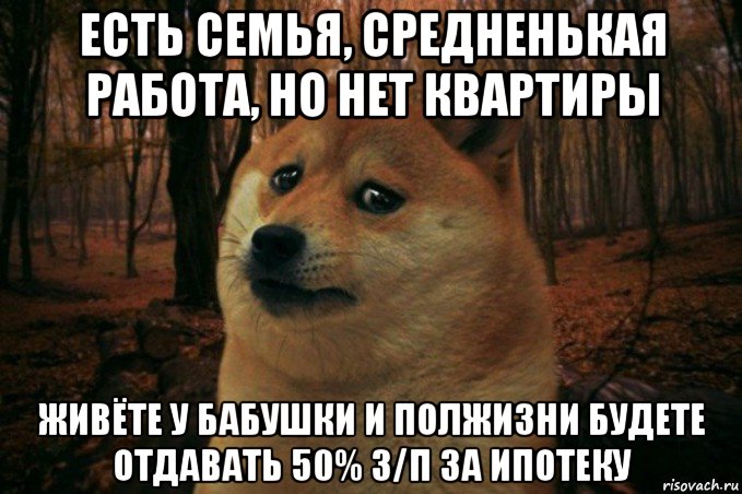 есть семья, средненькая работа, но нет квартиры живёте у бабушки и полжизни будете отдавать 50% з/п за ипотеку, Мем SAD DOGE