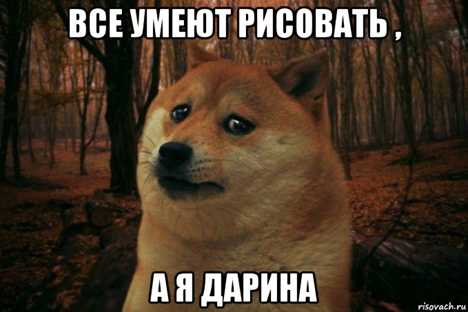 все умеют рисовать , а я дарина, Мем SAD DOGE