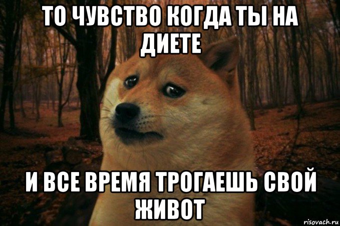 то чувство когда ты на диете и все время трогаешь свой живот, Мем SAD DOGE