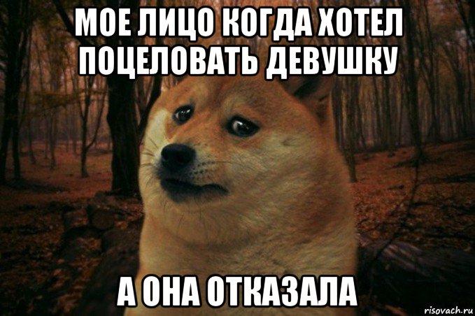 мое лицо когда хотел поцеловать девушку а она отказала, Мем SAD DOGE