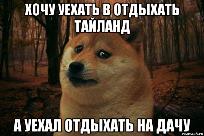 хочу уехать в отдыхать тайланд а уехал отдыхать на дачу, Мем SAD DOGE