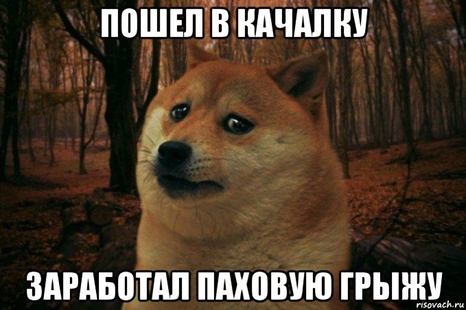 пошел в качалку заработал паховую грыжу, Мем SAD DOGE