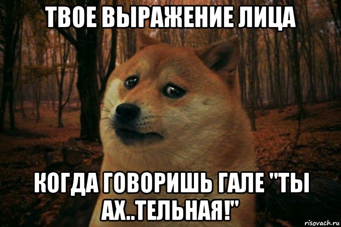 твое выражение лица когда говоришь гале "ты ах..тельная!", Мем SAD DOGE