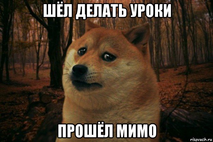 шёл делать уроки прошёл мимо, Мем SAD DOGE