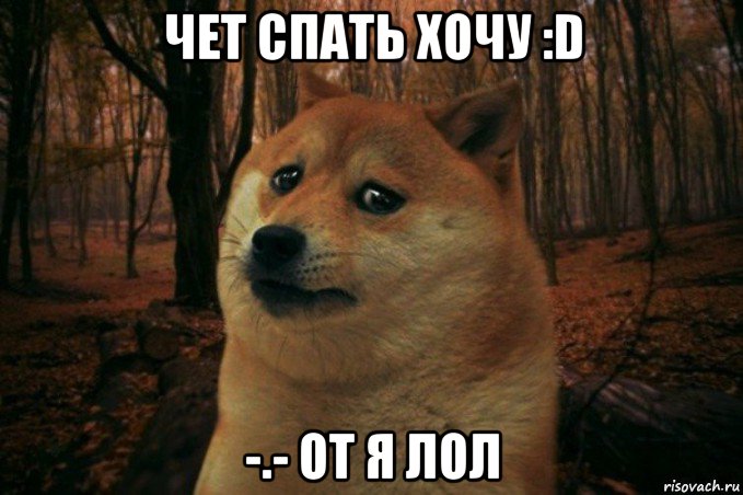 чет спать хочу :d -.- от я лол, Мем SAD DOGE