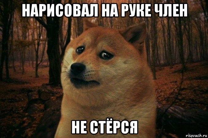 нарисовал на руке член не стёрся, Мем SAD DOGE