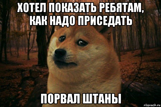 хотел показать ребятам, как надо приседать порвал штаны, Мем SAD DOGE