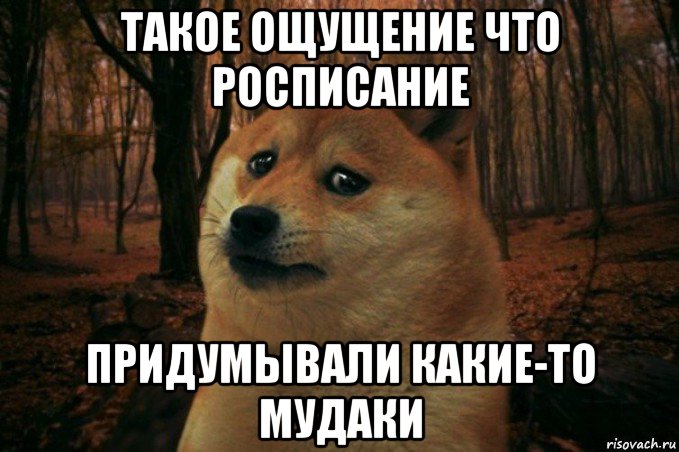 такое ощущение что росписание придумывали какие-то мудаки, Мем SAD DOGE