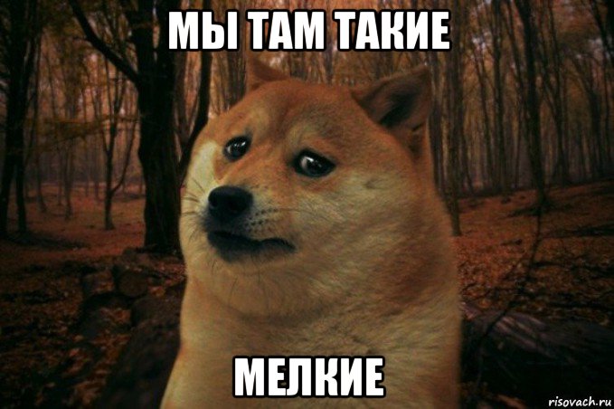 мы там такие мелкие, Мем SAD DOGE