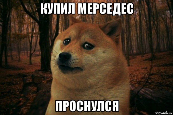 купил мерседес проснулся, Мем SAD DOGE