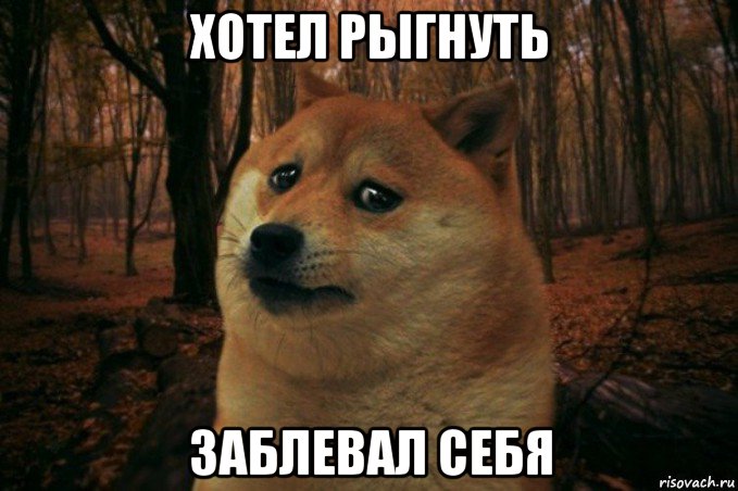 хотел рыгнуть заблевал себя, Мем SAD DOGE