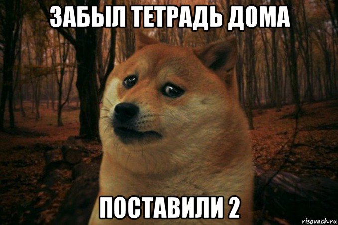 забыл тетрадь дома поставили 2, Мем SAD DOGE