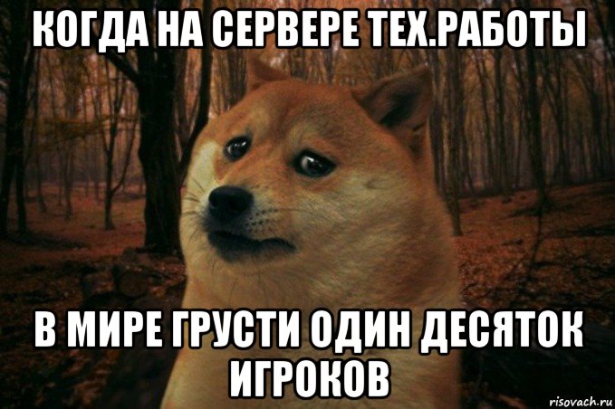 когда на сервере тех.работы в мире грусти один десяток игроков, Мем SAD DOGE