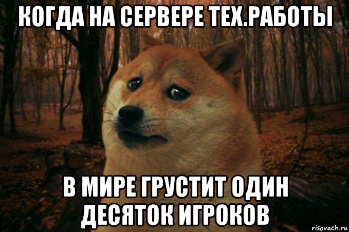 когда на сервере тех.работы в мире грустит один десяток игроков, Мем SAD DOGE