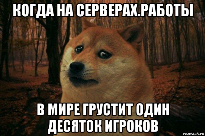 когда на серверах.работы в мире грустит один десяток игроков, Мем SAD DOGE