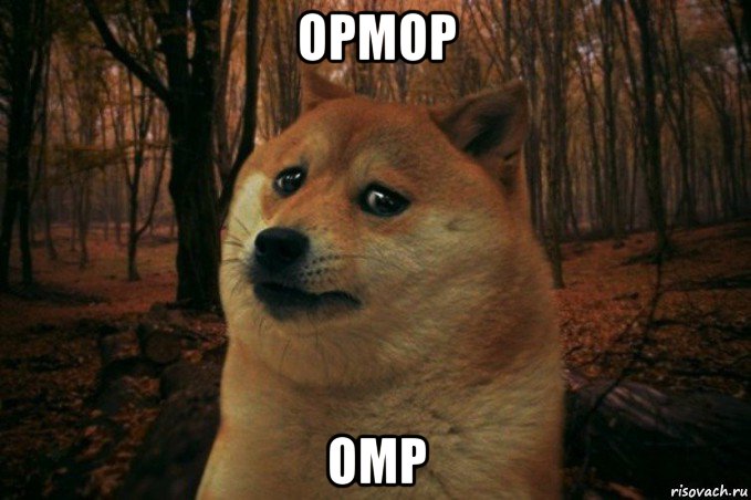 ормор омр, Мем SAD DOGE