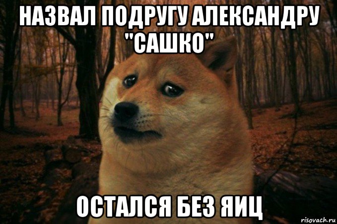 назвал подругу александру "сашко" остался без яиц, Мем SAD DOGE