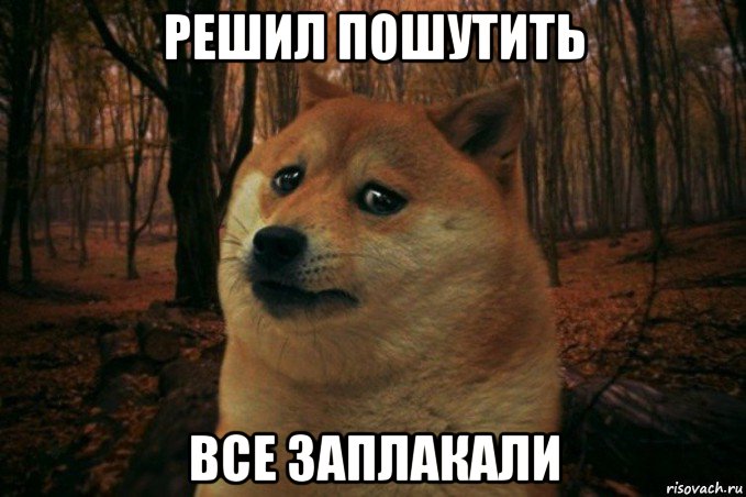 решил пошутить все заплакали, Мем SAD DOGE