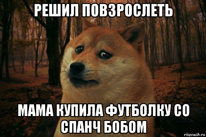 решил повзрослеть мама купила футболку со спанч бобом, Мем SAD DOGE