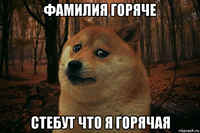 фамилия горяче стебут что я горячая, Мем SAD DOGE