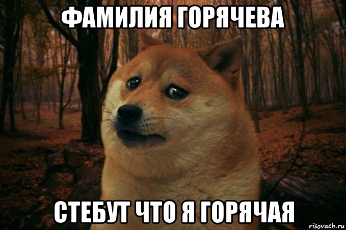 фамилия горячева стебут что я горячая, Мем SAD DOGE