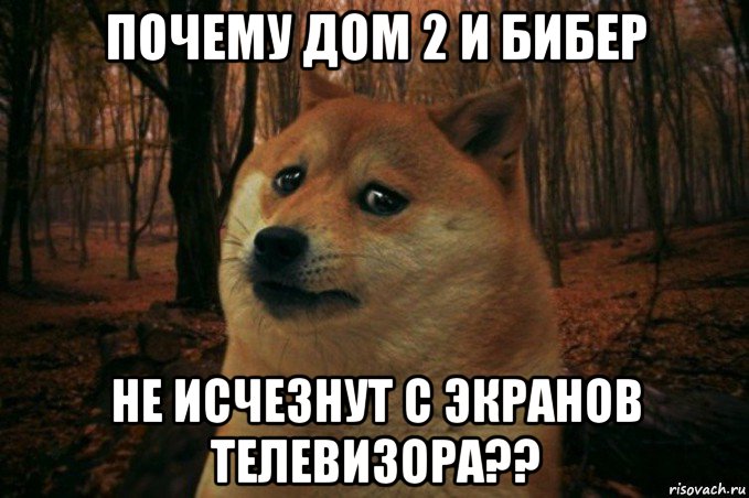 почему дом 2 и бибер не исчезнут с экранов телевизора??, Мем SAD DOGE