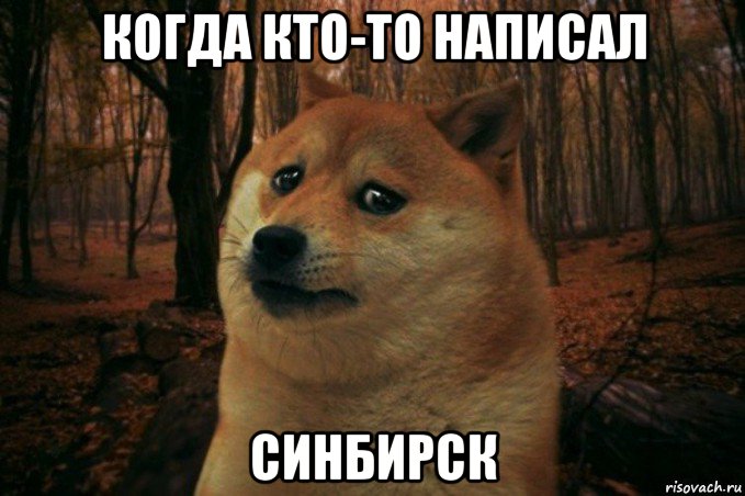 когда кто-то написал синбирск, Мем SAD DOGE