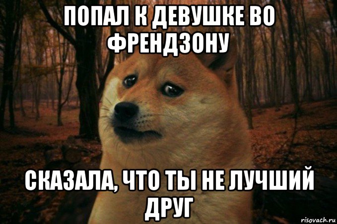 попал к девушке во френдзону сказала, что ты не лучший друг, Мем SAD DOGE