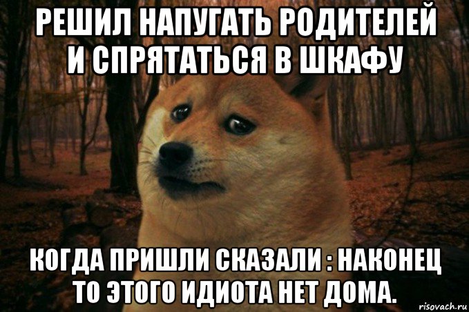 решил напугать родителей и спрятаться в шкафу когда пришли сказали : наконец то этого идиота нет дома., Мем SAD DOGE