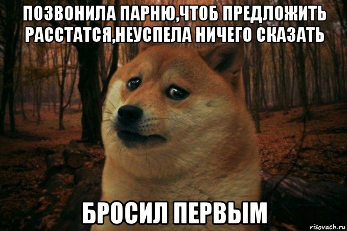 позвонила парню,чтоб предложить расстатся,неуспела ничего сказать бросил первым, Мем SAD DOGE