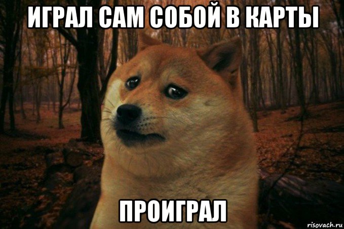 играл сам собой в карты проиграл, Мем SAD DOGE