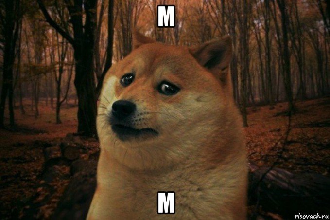 м м, Мем SAD DOGE