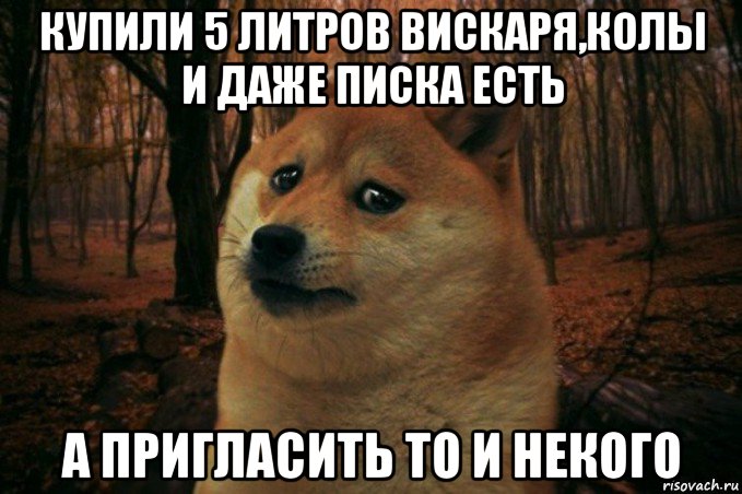 купили 5 литров вискаря,колы и даже писка есть а пригласить то и некого, Мем SAD DOGE