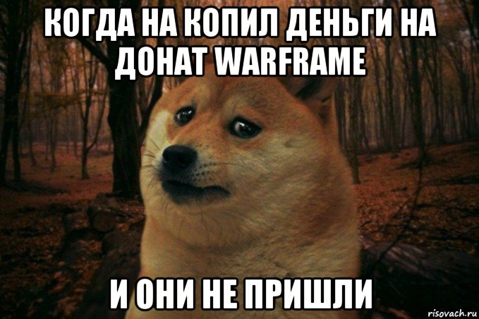 когда на копил деньги на донат warframe и они не пришли, Мем SAD DOGE