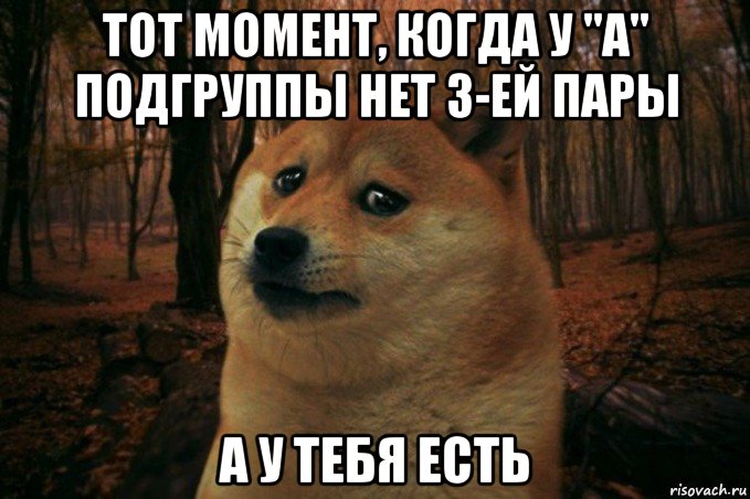 тот момент, когда у "а" подгруппы нет 3-ей пары а у тебя есть, Мем SAD DOGE