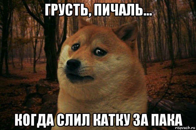 грусть, пичаль... когда слил катку за пака, Мем SAD DOGE