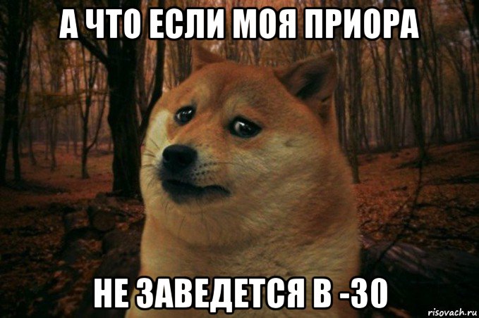 а что если моя приора не заведется в -30, Мем SAD DOGE