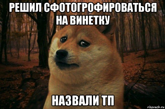 решил сфотогрофироваться на винетку назвали тп, Мем SAD DOGE