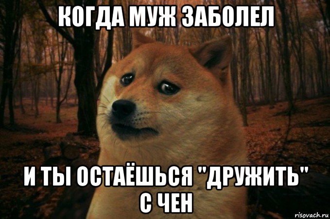 когда муж заболел и ты остаёшься "дружить" с чен, Мем SAD DOGE