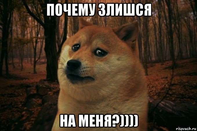 почему злишся на меня?)))), Мем SAD DOGE