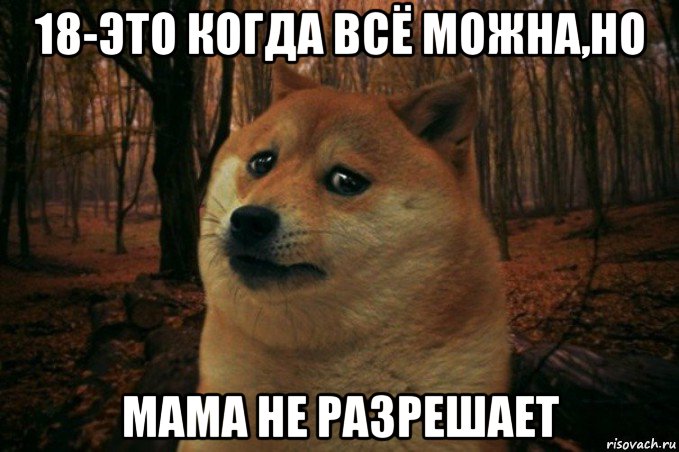 18-это когда всё можна,но мама не разрешает, Мем SAD DOGE