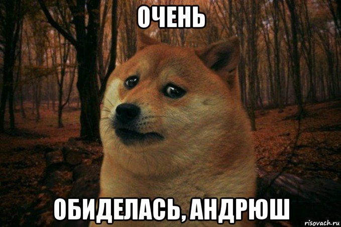 очень обиделась, андрюш, Мем SAD DOGE